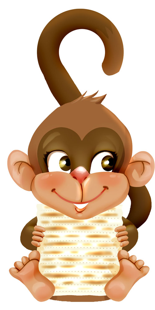matzamonkey3 matzamonkey3